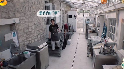 《中餐廳8》爭議升級 林述巍被鎖冷庫，導演做法引眾怒