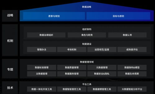洞見未來，駕馭數據 國內優(yōu)秀數據治理服務商及軟件開發(fā)指南